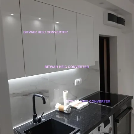 Apartamento Vracar Stan Na Dan Belgrado
